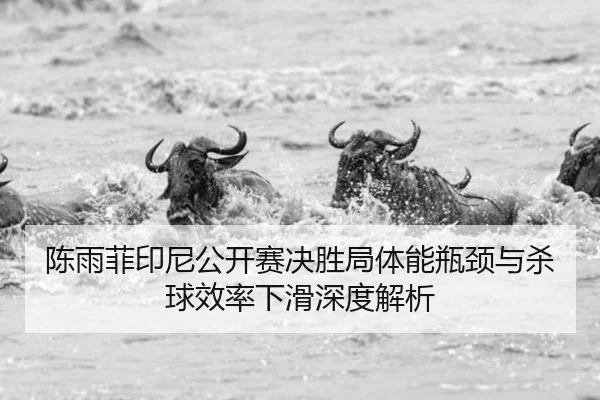 陈雨菲印尼公开赛决胜局体能瓶颈与杀球效率下滑深度解析