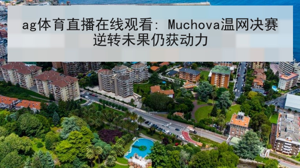 ag体育直播在线观看: Muchova温网决赛逆转未果仍获动力