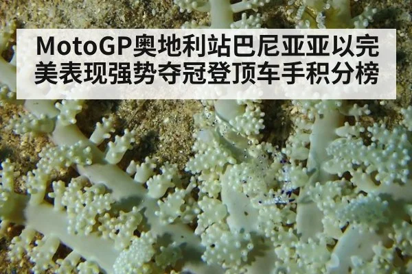 MotoGP奥地利站巴尼亚亚以完美表现强势夺冠登顶车手积分榜